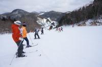 DSC00270.jpg